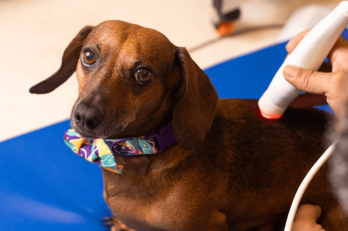 ultrasound22 ultrasound22